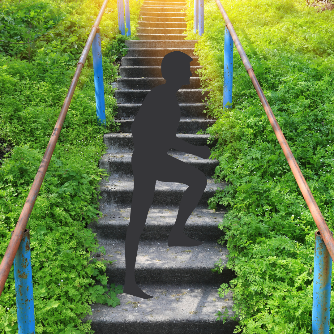 Stairs Longevity Kaizen Coffee Mushroom Coffee Health Wellness Fitness Improve