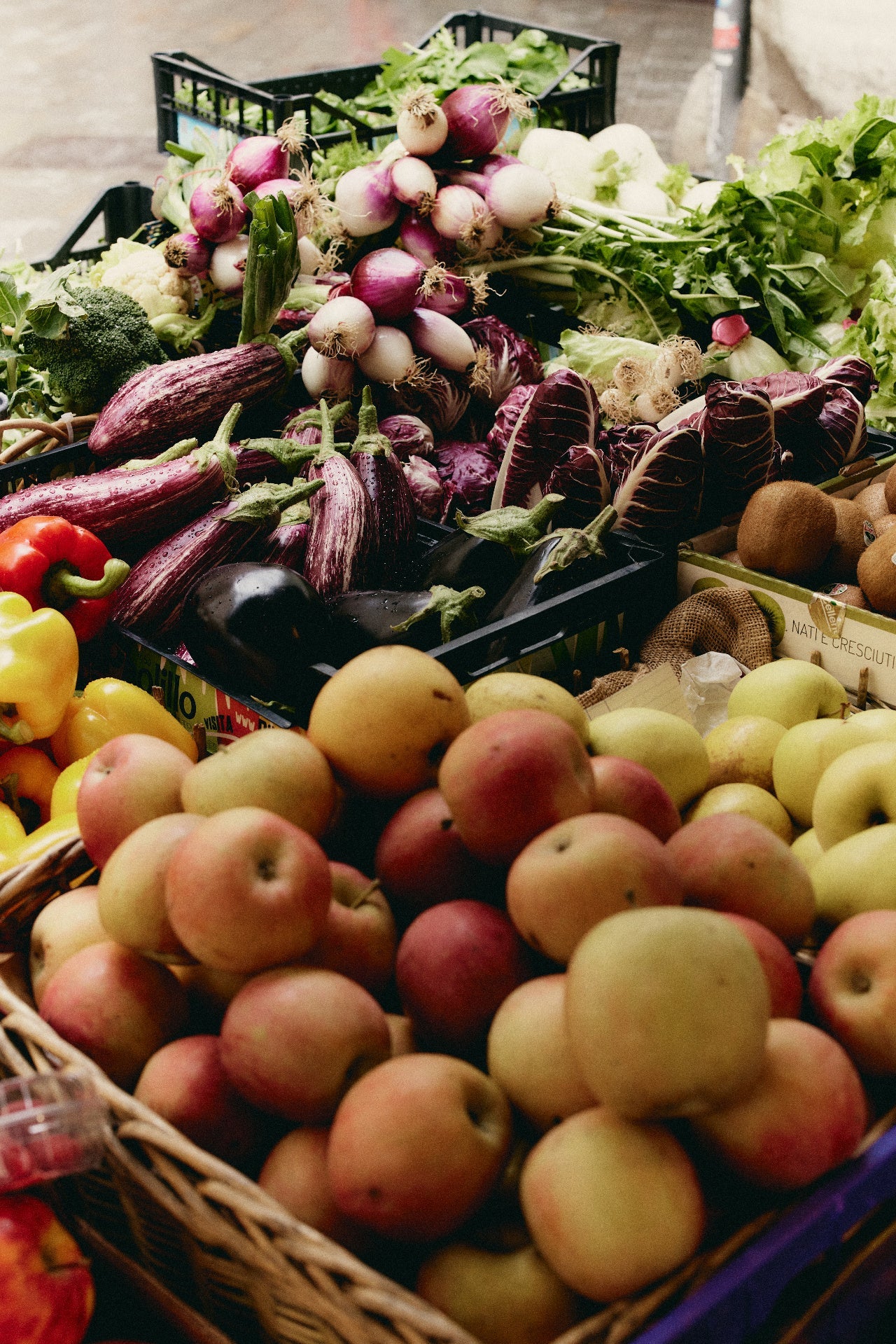 The Four Pillars of a Fast, Resilient Metabolism