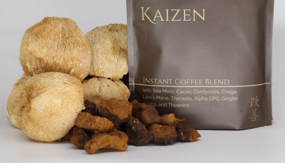 Build a Bulletproof Immune System with Chaga