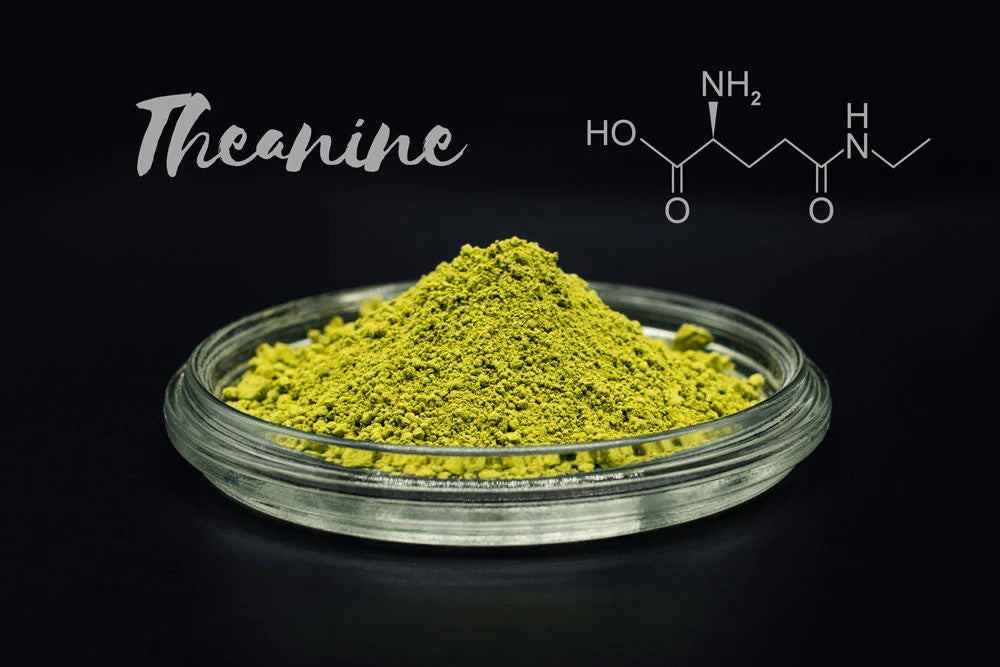 L-Theanine and Caffeine: The Most Powerful Cognitive Stack You're Probably Already Using