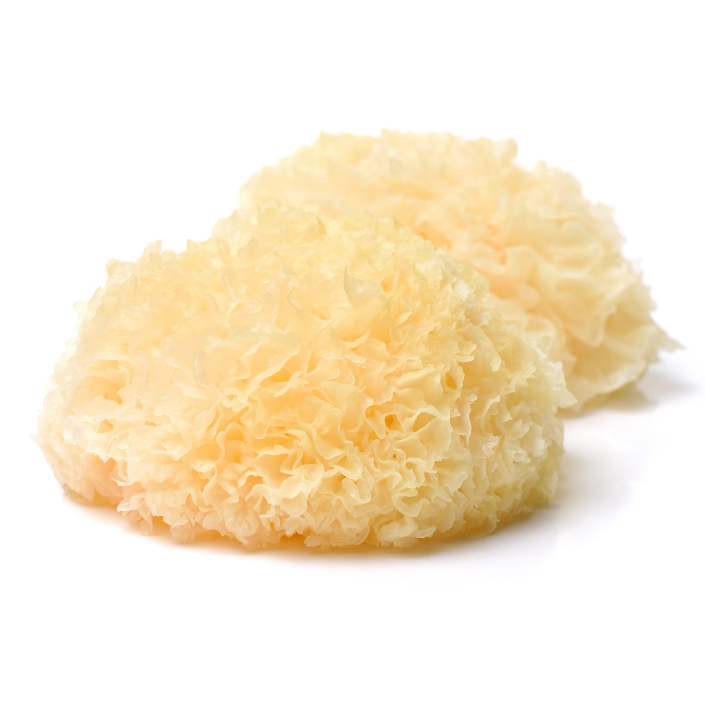 Tremella: The Ancient Mushroom That Holds More Water Than Hyaluronic Acid