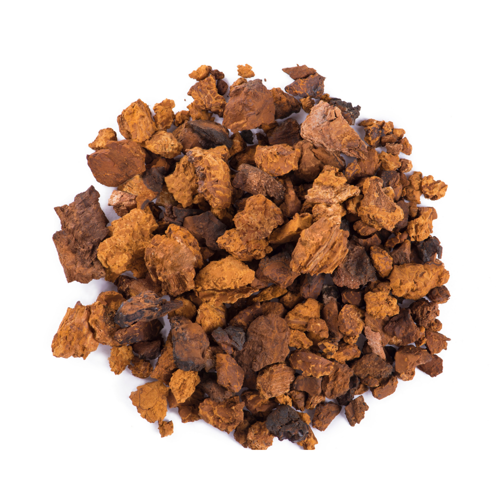 Chaga Mushroom and Immunity: What the Research Says About Nature's Most Powerful Antioxidant